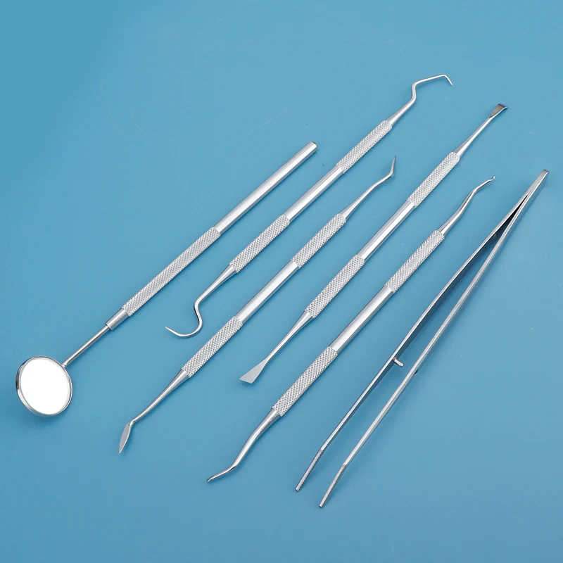 Dental Floss Picks - Lot de 5x6 cure-dents interdentaires professionnels