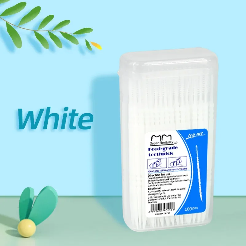 Dental Floss Picks - 100 pièces de brossettes interdentaires à