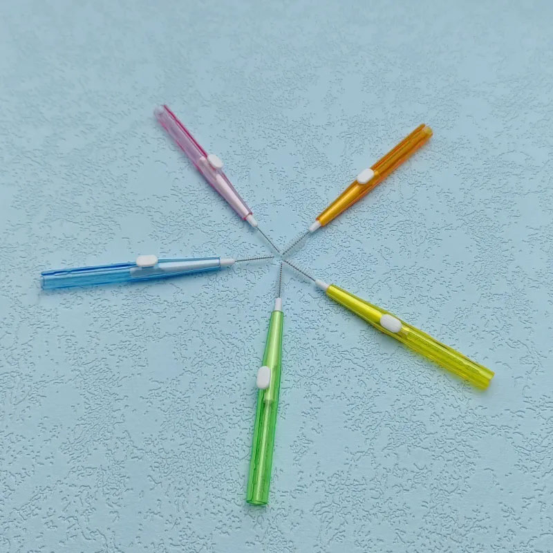 5/10/30/60/100 pièces nettoyag - Dental Floss Picks avis et prix