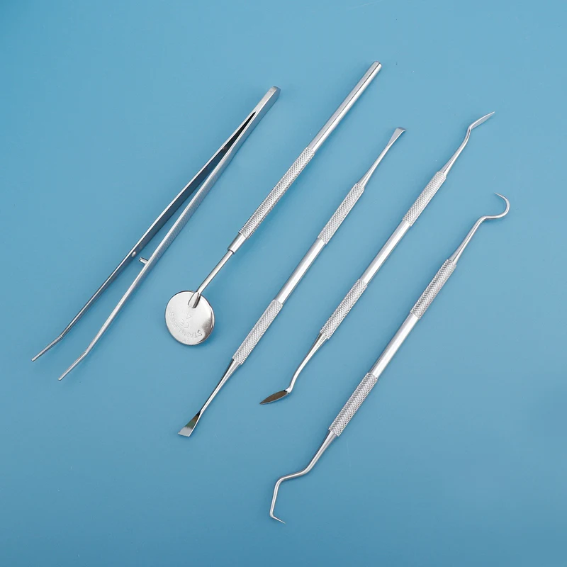 Lot de 5x6 cure-dents interden - Dental Floss Picks avis et prix